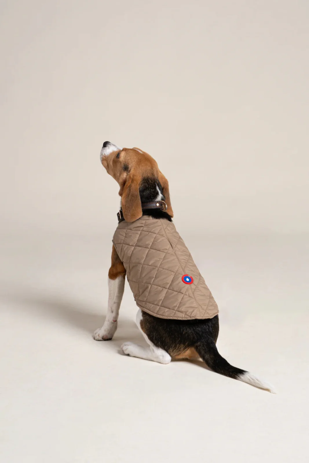 Image du produit 11
